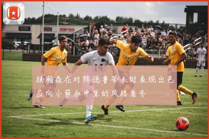 杨瀚森在对阵德鲁蒂米时表现出色应向小萨和申京的风格看齐
