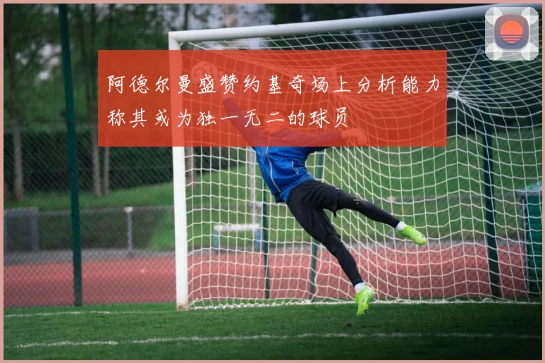 阿德尔曼盛赞约基奇场上分析能力称其或为独一无二的球员